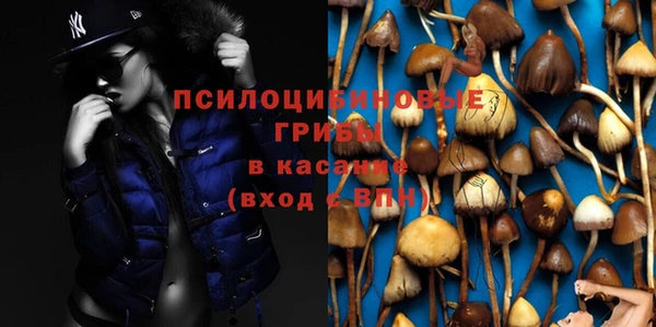 амфетамин Богданович