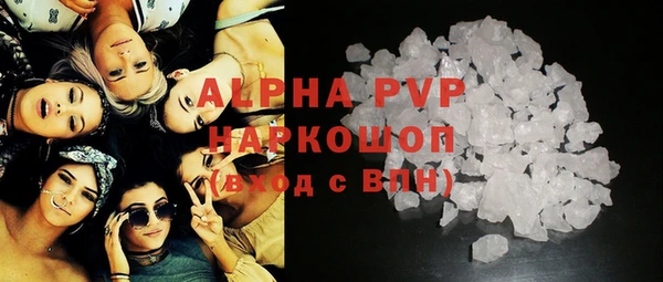 спиды Верея